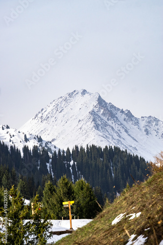 beautiful mountain gorge. snowy mountain peaks. forest in the mountains