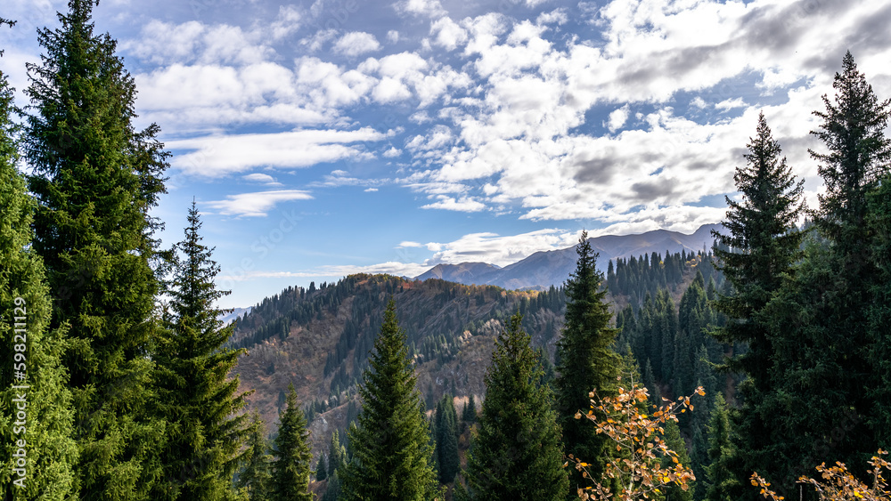 beautiful autumn mountains. cloudy weather in the mountains. forest in the mountains