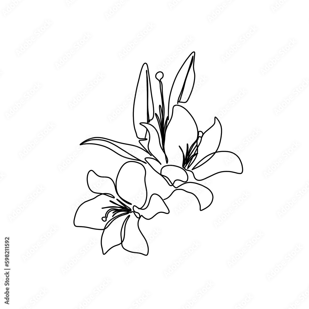Fototapeta premium Flower and plant continuous single line art drawing. Lily flower minimal art style. Lily flower continuous line art illustration.