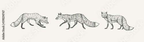 Wild red fox set. Forest ginger animal flying and jumping. Vector Engraved hand drawn Vintage sketch for label or poster. Generative AI