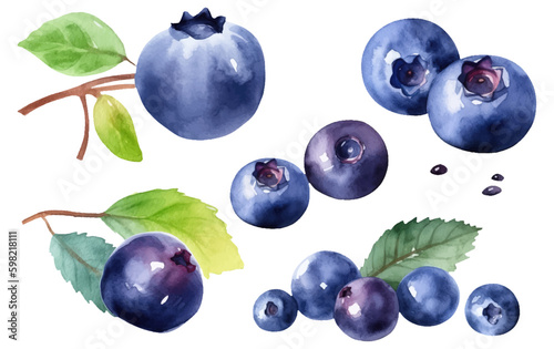 set vector watercolor illustration of ripe blueberry isolated on white background Generative AI