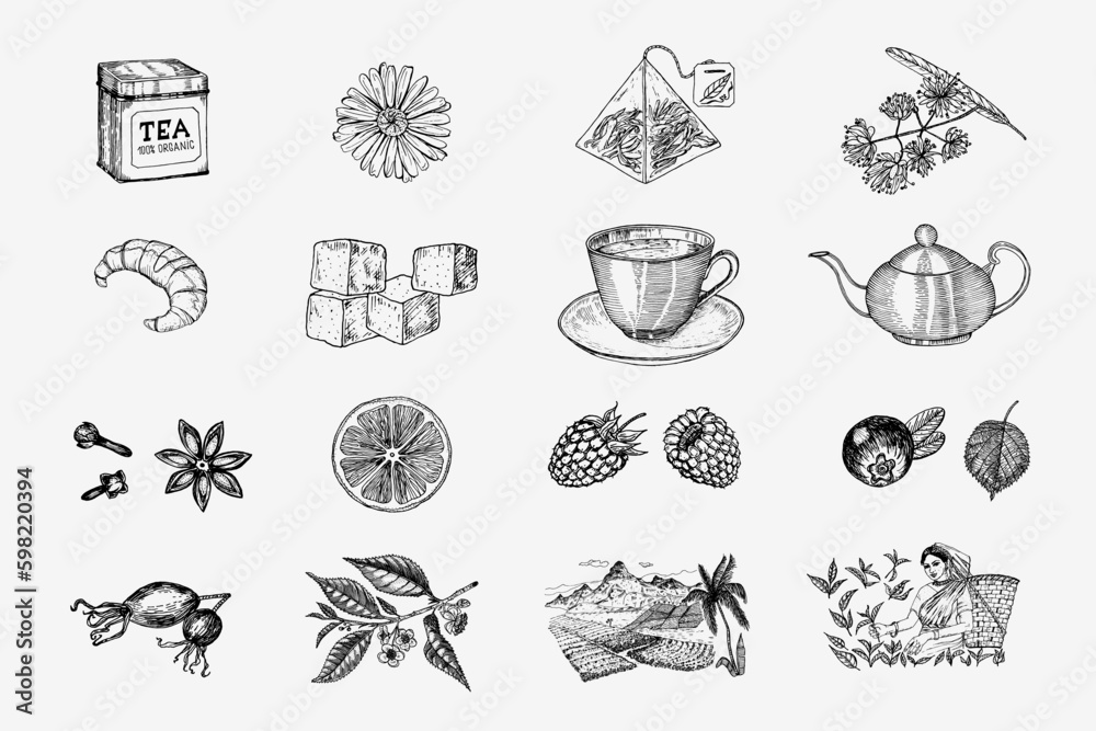 Herbal Tea bag brewing cooking directions. Teapot, cup, sugar, plants, landscape, raspberries, croissant, lemon, chamomile. The woman is harvesting. Ingredients for shop frame. Engraved Generative AI - obrazy, fototapety, plakaty 