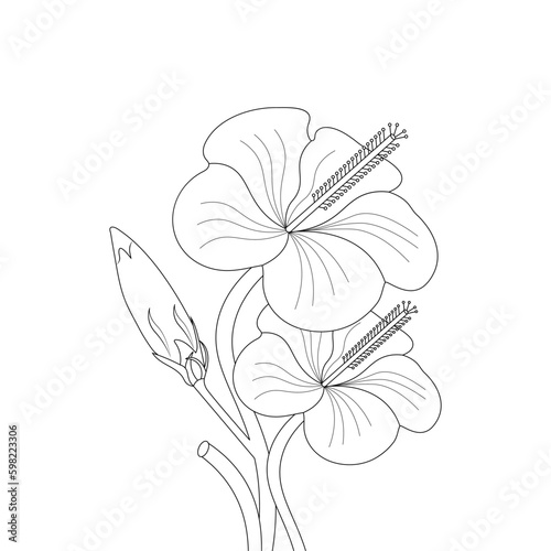 Hibiscus Flower Line Art Drawing Black Stroke Illustration Vector Flower
