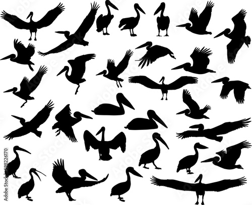 Collection of silhouettes of pelican birds