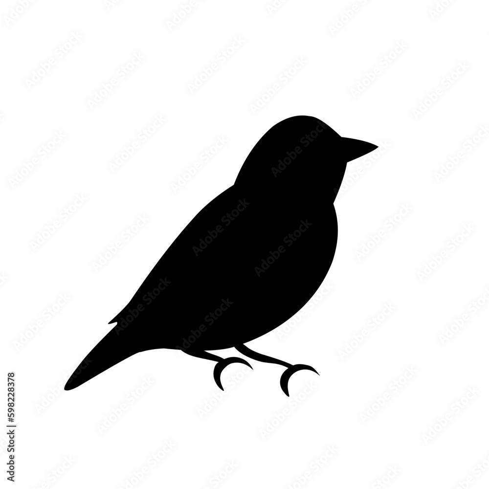 Obraz premium bird vector illustration silhouette