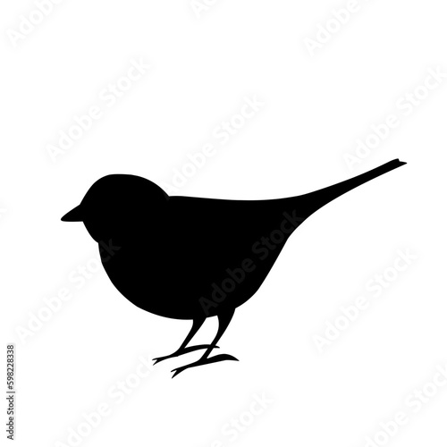 bird vector illustration silhouette photo