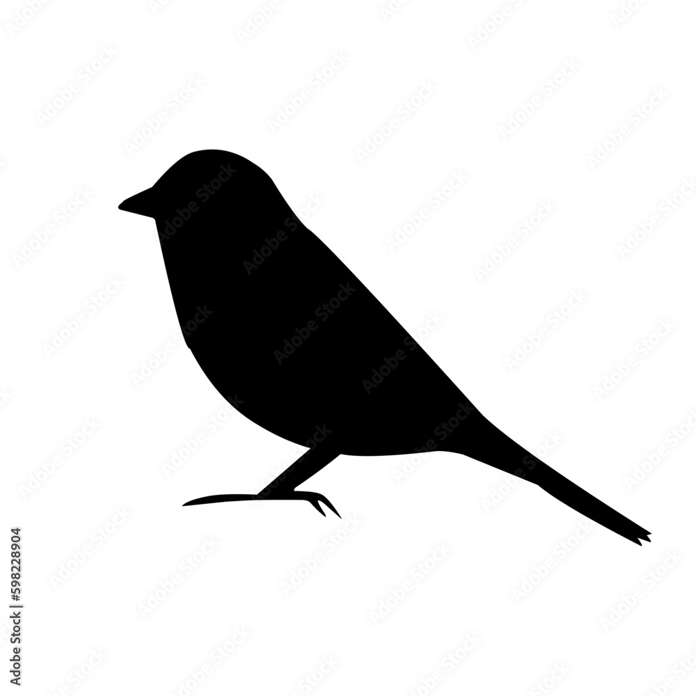 Obraz premium bird vector illustration silhouette
