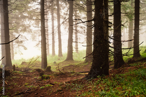 Mountain landscape in Jeseniky, view of the mountain range from the hiking trail on the top of small Jezernik from cernohorske saddle. Mysterious foggy forest in autumn. photo