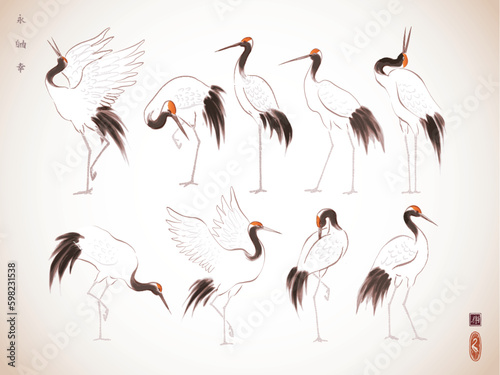 Japanese red-crowned crane birds in oriental style. Traditional Japanese ink wash painting sumi-e. Hieroglyphs - eternity, freedom, happiness, zen