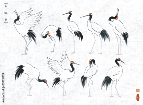 Japanese red-crowned crane birds in oriental style on rice paper backrgound. Traditional Japanese ink wash painting sumi-e. Hieroglyphs - eternity, freedom, happiness, zen