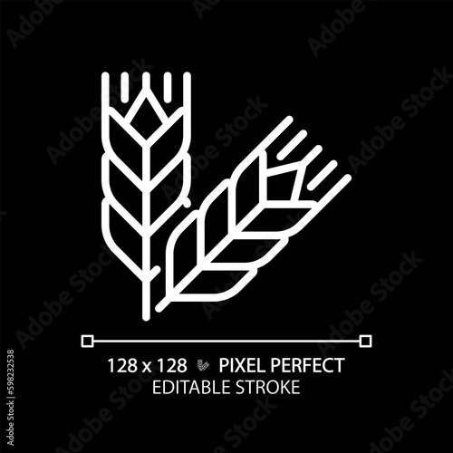 Food grains pixel perfect white linear icon for dark theme. Oat meal. Wheat harvesting. Cereal crops. Agricultural commodity. Thin line illustration. Isolated symbol for night mode. Editable stroke