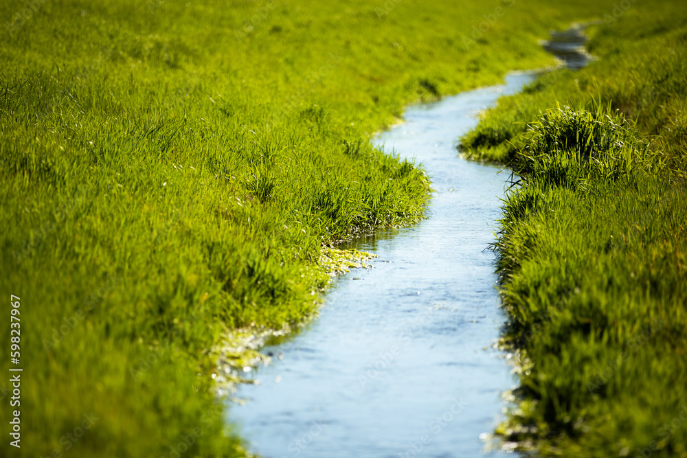 Small creek running through a field of grass Small creek running through a field of grass