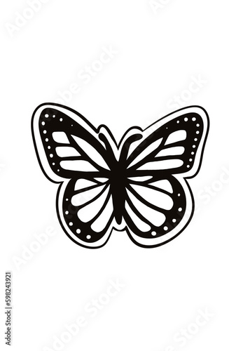 butterfly