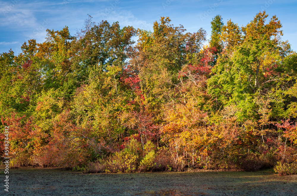 The Wetlands at Mammoth Cave National Park