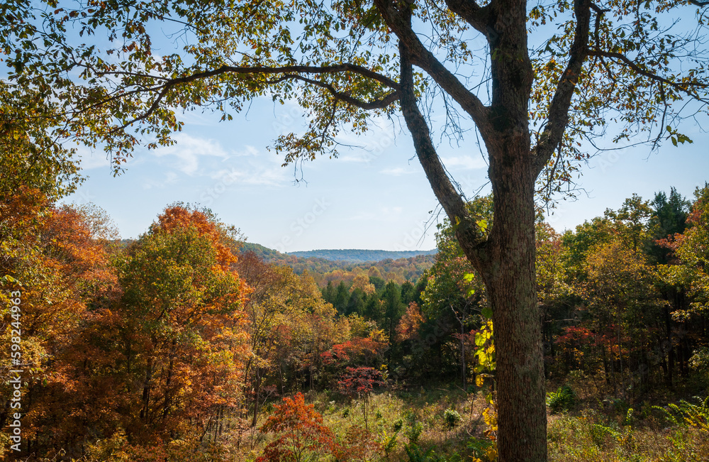 Overlook of Mammoth Cave National Park in Kentucky Overlook of Mammoth Cave National Park in Kentucky
