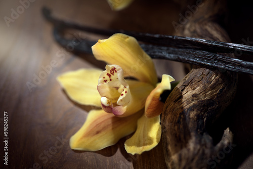 Vanilla flower and pods close up. Vanilla beans over wood background, macro shot. Aromatic condiments