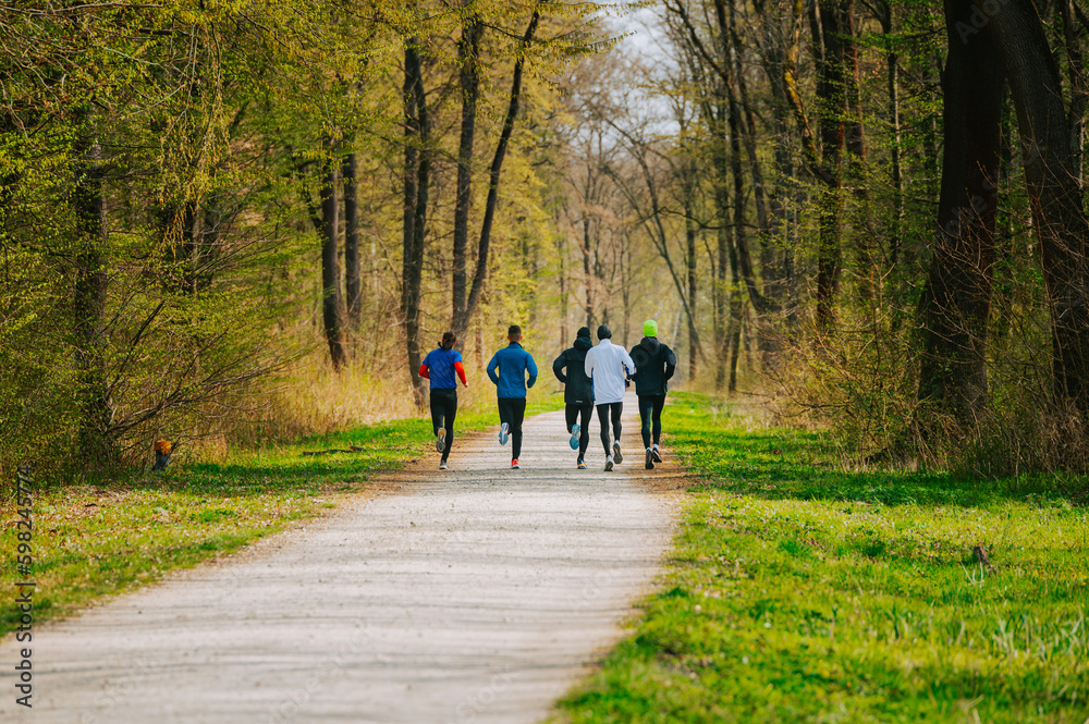 Running Squad Training for Spring Races in Majestic Pine Forest. unning photo, morning motivation. Exercise in Team. Running Squad Training for Spring Races in Majestic Pine Forest. unning photo, morning motivation. Exercise in Team.