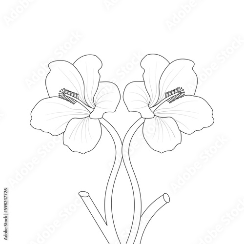Hibiscus Flower Drawing Coloring Page With Doodle Art Line Art Vector 