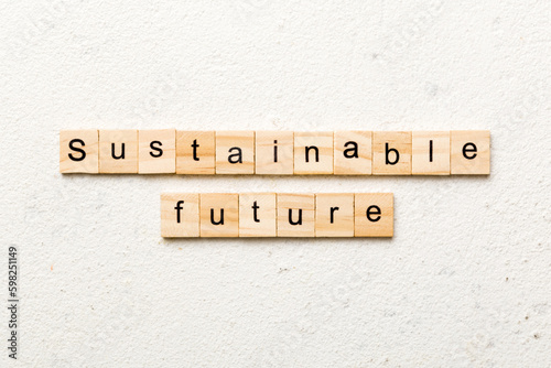 sustainabile future word written on wood block. sustainabile future text on table, concept