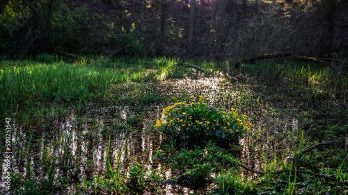 Flowering Island - Bl  hende Insel  part 1 