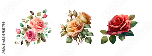 Collection of beautiful rose flowers isolated on white background. Spring and summer red, pink roses floral branch and leaves. Vector illustration