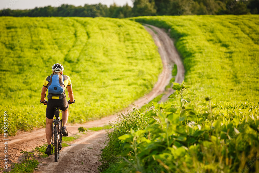 Fototapeta premium Cyclist Riding the Bike on the Beautiful Spring Mountain Trail 