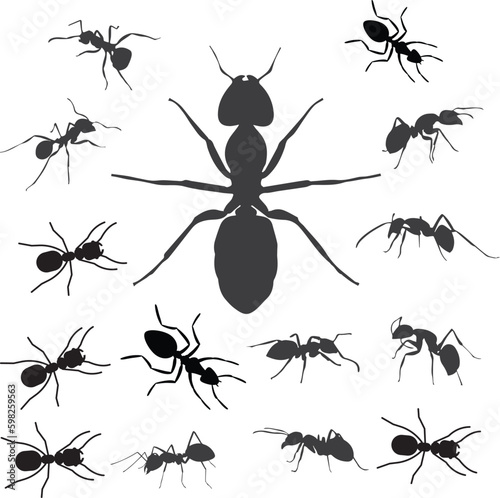 Insect Insects ant ants emmet pismire banner Vector icon icons sign signs fun funny A line of worker workers ants marching search Silhouette banner logo Random Seamless Pattern Representing Teamwork