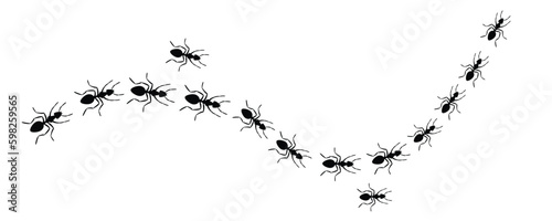 Worker ants trail line flat style design vector illustration isolated on white background. Top view of ants bug road trail marching in the line row. Pest control or insect searching concept.