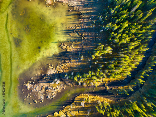 A drone view of the river in the woods. An aerial view of an autumn forest. W...