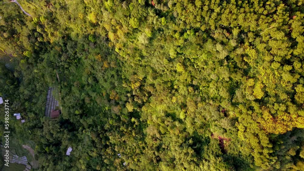 Aerial top down view of a village in base of mountain covered by tropical rainforest. Sunset Aerial top down view of a village in base of mountain covered by tropical rainforest. Sunset