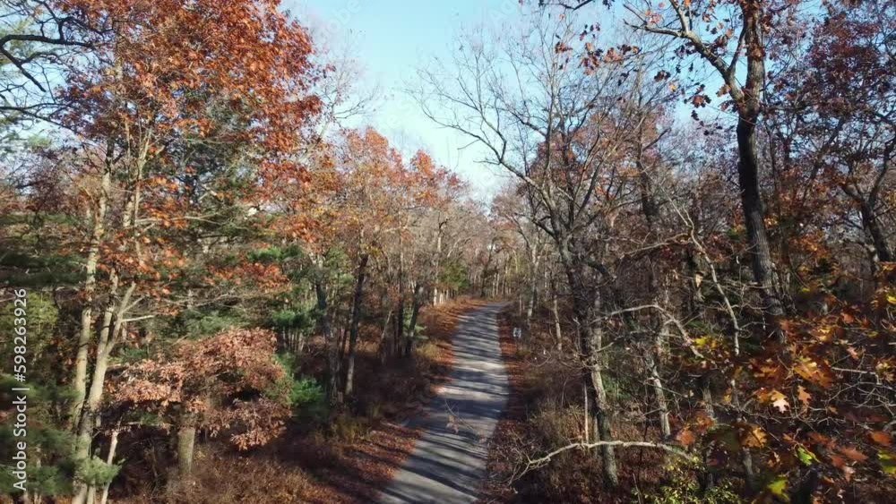 Aerial dolly along empty forest road in late fall under daylight Aerial dolly along empty forest road in late fall under daylight