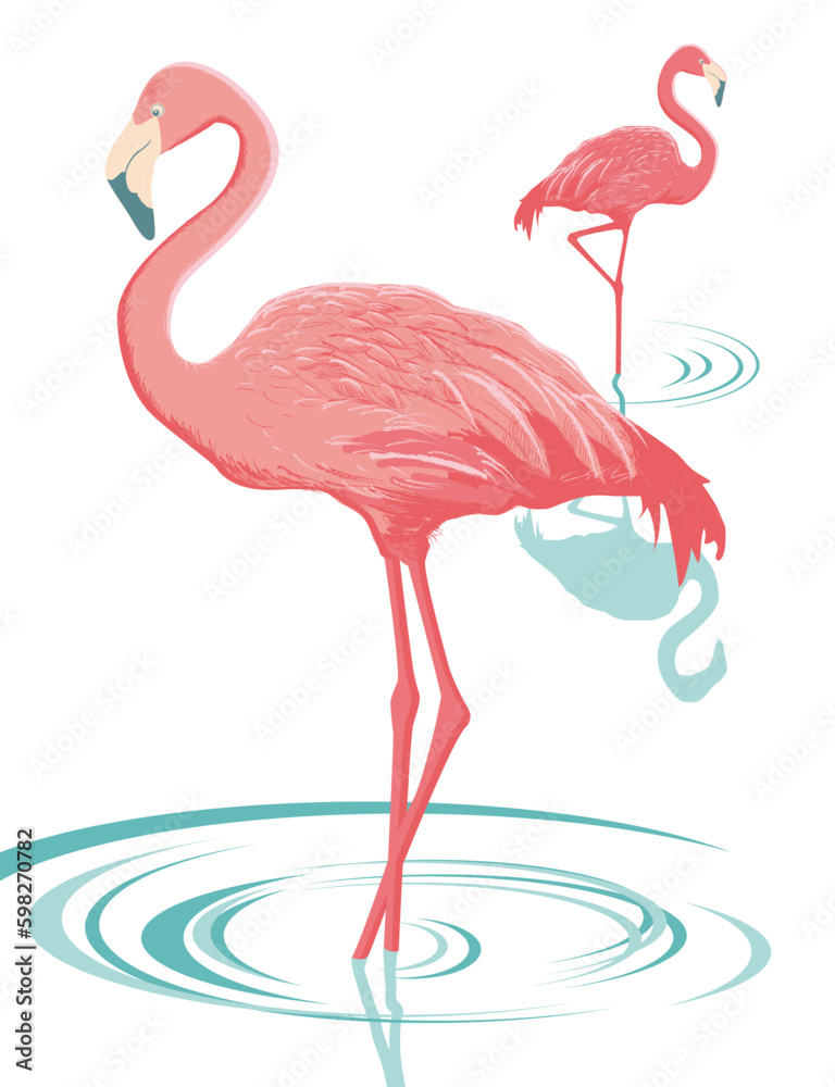 Obraz premium Vector flamingos (isolated)