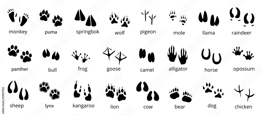Set of black animal imprint icon. Black animal footprint