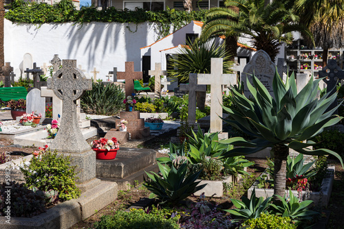 Fototapete English Cemetery, built by and for Anglican settlers in Puerto de la Cruz, Canar