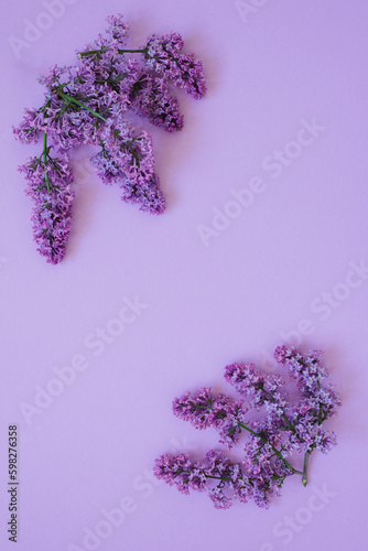 Composition of flowers. Frame of lilac flowers on a solid background. Concept of Mother s Day  Women s Day. Flat lay  top view