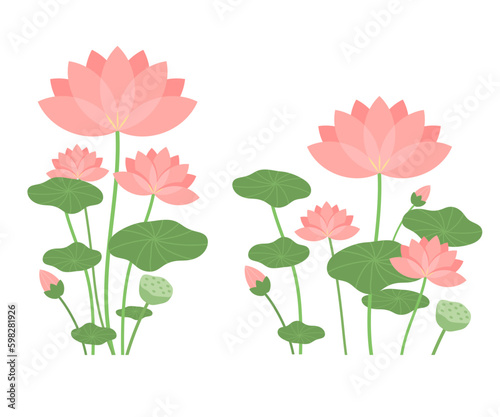 Lotus and lotus leaf illustration. Flower, a symbol of Buddhism.