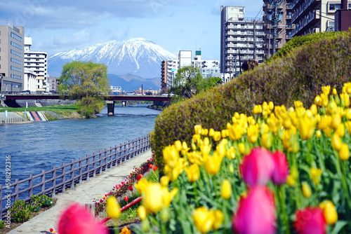 Beautiful morioka city view with Mt. iwate in the background and the Kitakami river flowing through the middle of town with flower gardens.