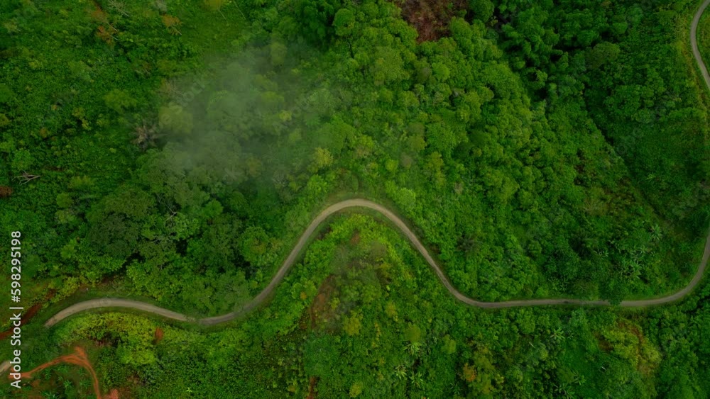 Winding road cutting through lush green tropical forest Winding road cutting through lush green tropical forest