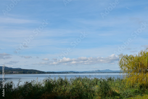 Insel Reichenau, Seeufer