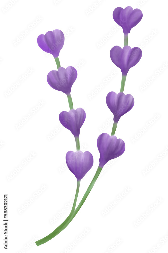 Purple flower watercolor Purple flower watercolor