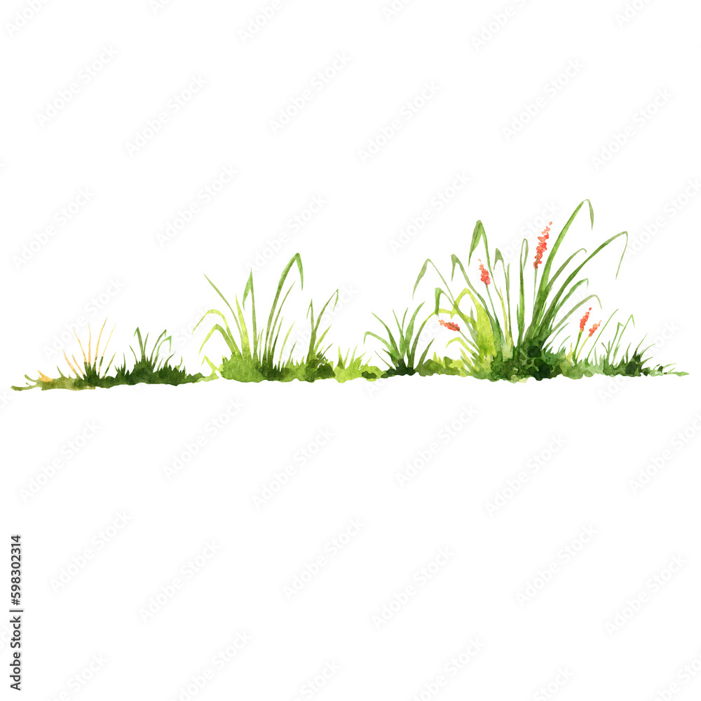 Fototapeta premium Watercolor foliage, green grass, field flowers