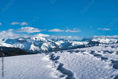 Praz de lys, Haute Savoie,  France