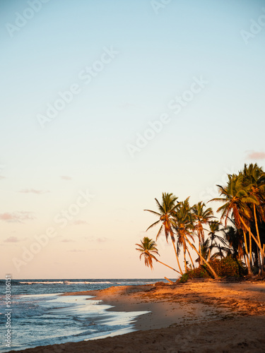 A tropical beach in the Caribbean at sunset with coconut palm trees. The sunlight is shining on the trees next to the orange sandy beach with waves crashing on the shoreline in the Dominican Republic.