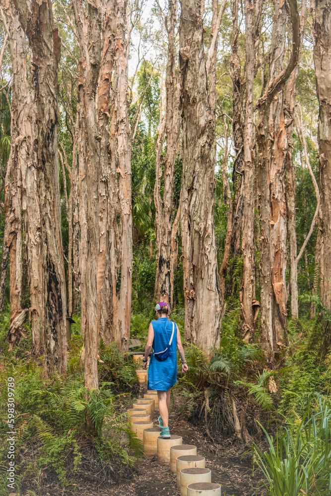 Australia, Queensland, Agnes Water, Woman walking on boardwalk in forest Australia, Queensland, Agnes Water, Woman walking on boardwalk in forest
