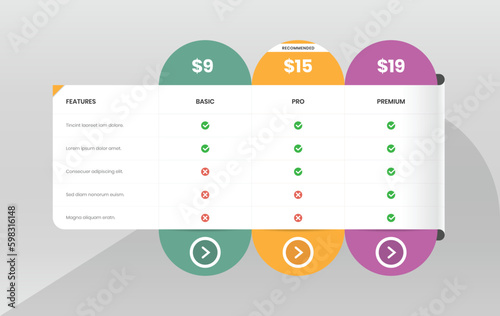 Modern pricing comparison table with check mark and abstract shape for web interface