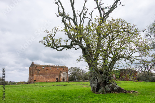 Classic view of the old building of the Calera de las Huerfanas during a gray sky, next to a large Ombú tree photo