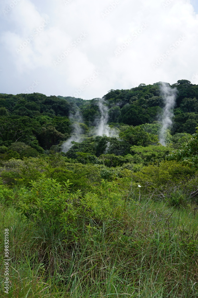 Steam from volcanic fumaroles in forest