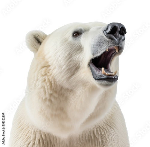 Isolated polar bear roaring on transparent background cutout , Generative AI photo