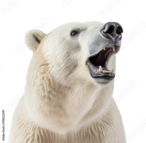 Isolated polar bear roaring on transparent background cutout , Generative AI