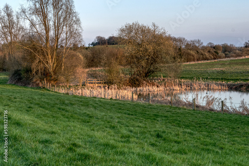 landscape by the pond, very early spring